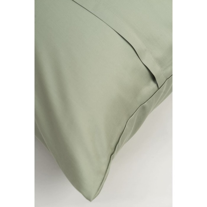 Постельное белье OLIVE BRILLIANT GRASS Семейный 70 х 70 см (2 шт) простынь 160х200