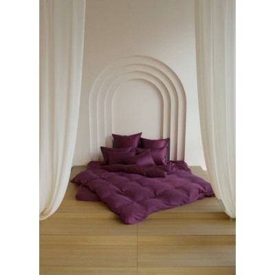 Постельное белье PURPLE BRILLIANT GRASS Семейный 70 х 70 см (2 шт) простынь 240х260