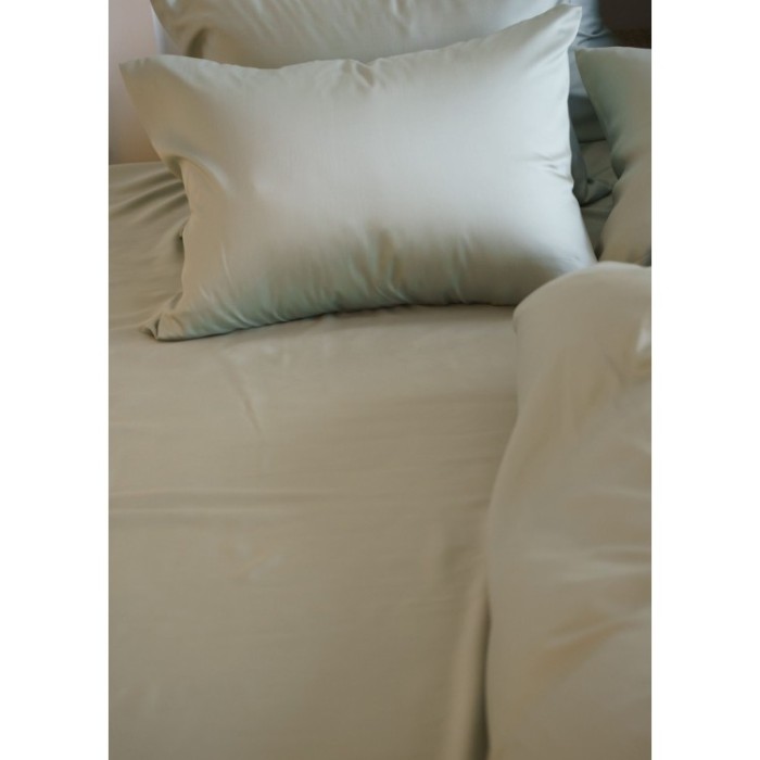 Простыня OLIVE BRILLIANT GRASS 240х260