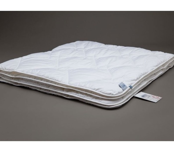 Одеяло стеганное окантованное German Grass BAMBOO FAMILIE BIO 200 х 200 всесезонное