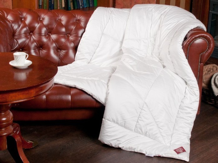 Одеяло верблюжий пух Camel Grass (220 х 240) Всесезонное