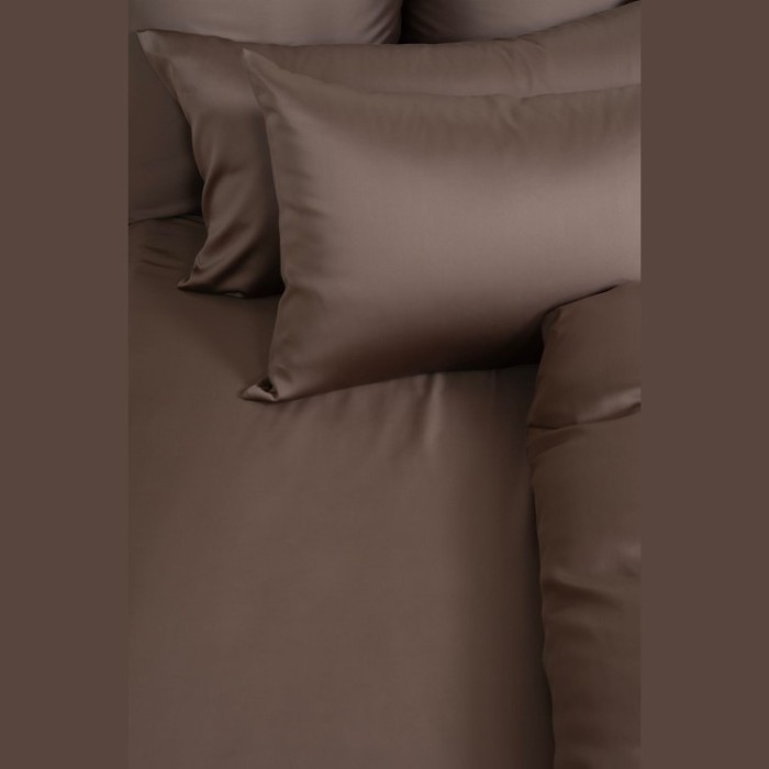 Простыня на резинке 160 х 200 х 40 Havana Brown Brilliant Grass