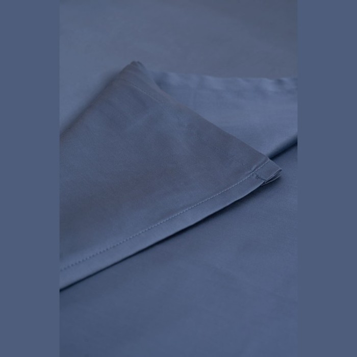 Постельное белье BLUE BRILLIANT GRASS Семейный 50 х 70 см (2 шт) простынь 240х260