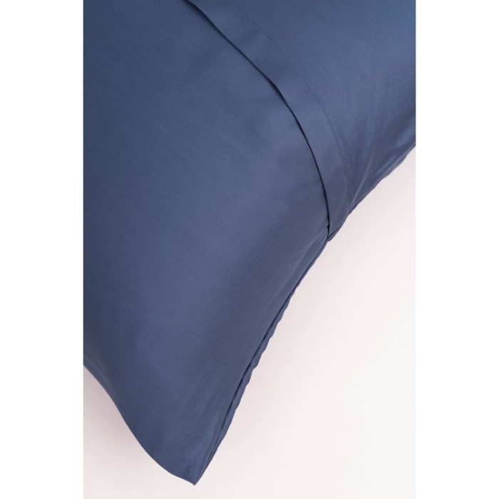 Постельное белье BLUE BRILLIANT GRASS Семейный 50 х 70 см (2 шт), 70 х 70 см (2 шт)