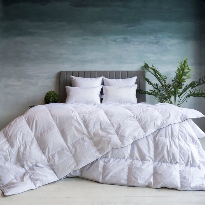 Одеяло GRAY FAMILIE DOWN всесезонное 160х220