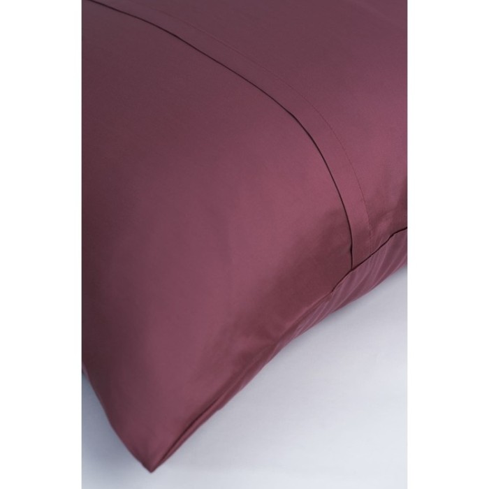 Постельное белье PURPLE BRILLIANT GRASS Евро 50 х 70 см (2 шт) простынь 160х200