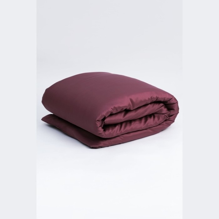 Постельное белье PURPLE BRILLIANT GRASS Евро 50 х 70 см (2 шт) простынь 180х200